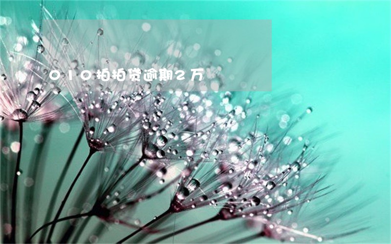 010拍拍贷逾期2万 010拍拍贷逾期2万