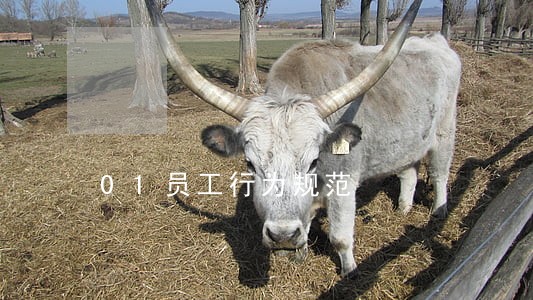 01员工行为规范 01员工行为规范
