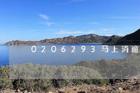 0206293马上消逾期
