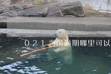 021当前逾期哪里可以贷款 021当前逾期哪里可以贷款