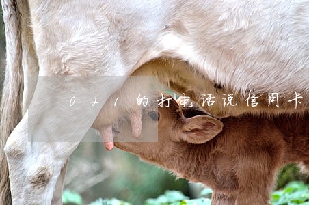 021的打电话说信用卡逾期 021的打电话说信用卡逾期