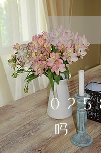02583591307是什么南京司法局吗