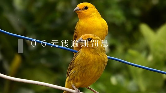 06元钱逾期罚息 06元钱逾期罚息