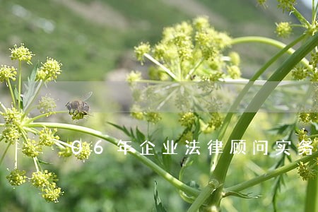 06年企业法律顾问实务下载 06年企业法律顾问实务下载