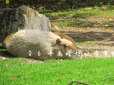 06年离婚协议有章吗 06年离婚协议有章吗