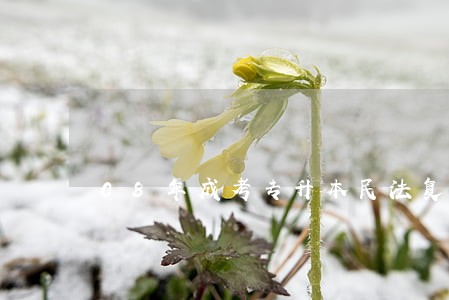 08年成考专升本民法复习资料 08年成考专升本民法复习资料