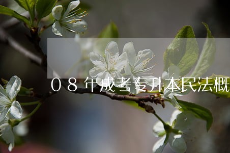 08年成考专升本民法概述 08年成考专升本民法概述