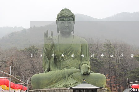 08年成考专升本民法著作权 08年成考专升本民法著作权