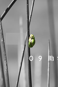 09助学贷款逾期 09助学贷款逾期
