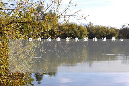 09法律文书写作试卷b 09法律文书写作试卷b