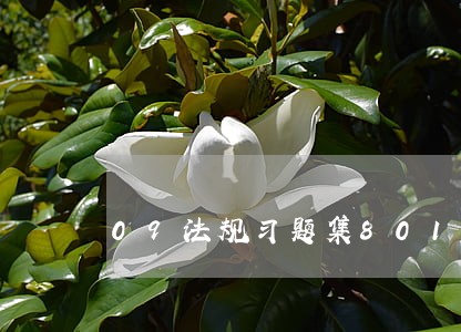 09法规习题集80186 09法规习题集80186