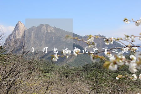 0打电话来说严重逾期