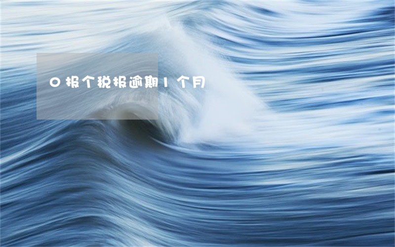 0报个税报逾期1个月