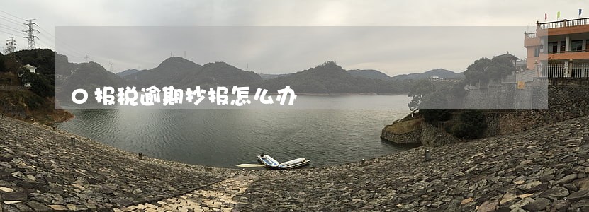 0报税逾期抄报怎么办 0报税逾期抄报怎么办