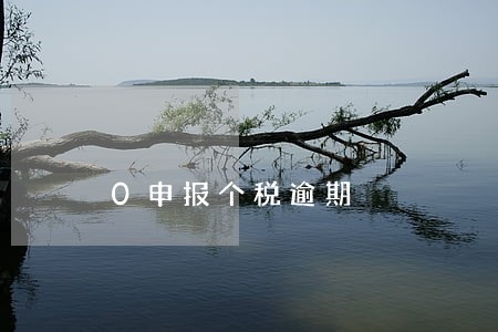 0申报个税逾期