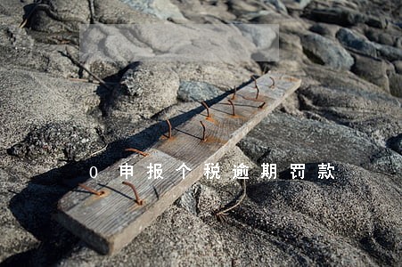 0申报个税逾期罚款 0申报个税逾期罚款