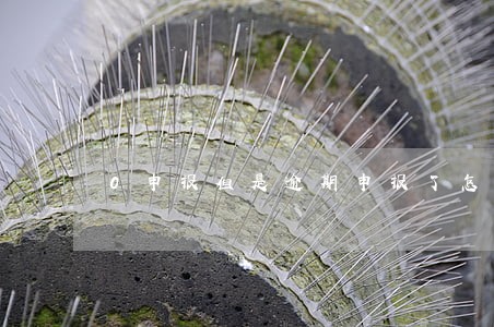 0申报但是逾期申报了怎么办 0申报但是逾期申报了怎么办