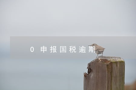 0申报国税逾期 0申报国税逾期