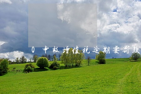 0申报增值税逾期要罚款吗 0申报增值税逾期要罚款吗