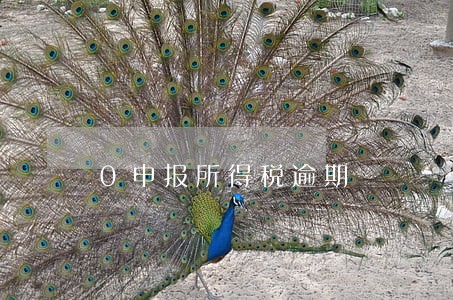 0申报所得税逾期 0申报所得税逾期