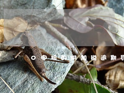 0申报的附加税逾期罚款怎么罚