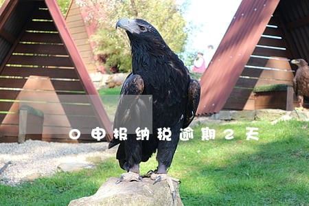 0申报纳税逾期2天 0申报纳税逾期2天