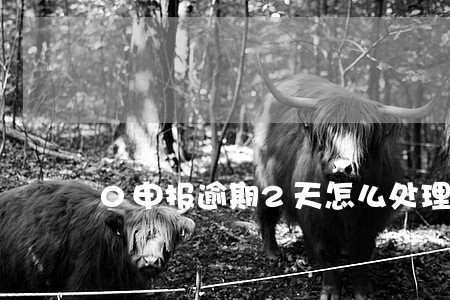 0申报逾期2天怎么处理 0申报逾期2天怎么处理