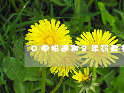 0申报逾期2年罚款多少 0申报逾期2年罚款多少