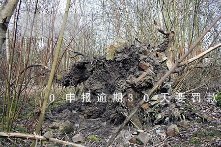 0申报逾期30天要罚款吗 0申报逾期30天要罚款吗
