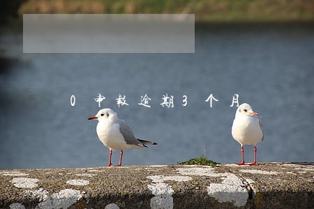 0申报逾期3个月 0申报逾期3个月