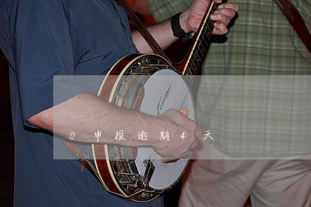 0申报逾期4天 0申报逾期4天