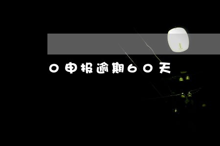 0申报逾期60天 0申报逾期60天