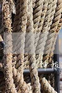 0申报逾期一天怎么办