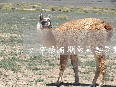 0申报逾期两天要罚款吗 0申报逾期两天要罚款吗