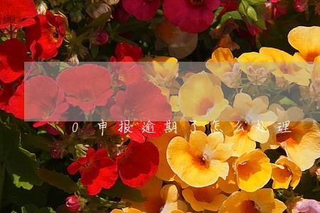 0申报逾期了怎么处理 0申报逾期了怎么处理