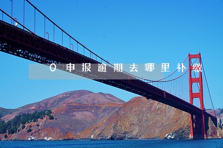 0申报逾期去哪里补缴 0申报逾期去哪里补缴
