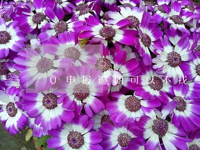 0申报逾期可以不找专管员 0申报逾期可以不找专管员