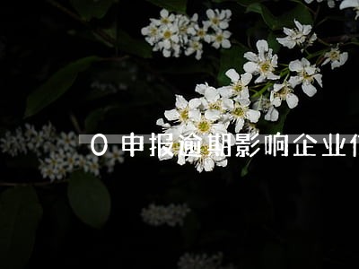 0申报逾期影响企业信用 0申报逾期影响企业信用