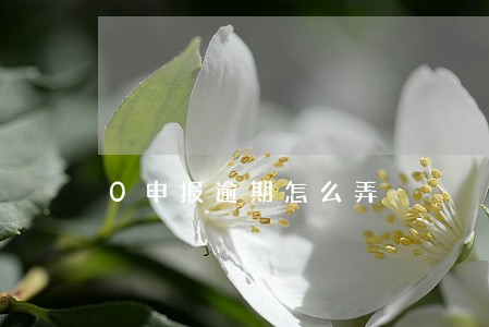 0申报逾期怎么弄 0申报逾期怎么弄
