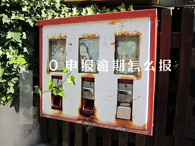 0申报逾期怎么报 0申报逾期怎么报