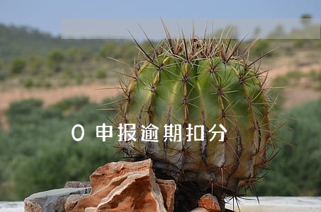 0申报逾期扣分 0申报逾期扣分