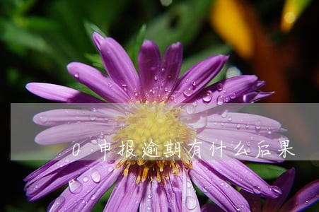 0申报逾期有什么后果 0申报逾期有什么后果