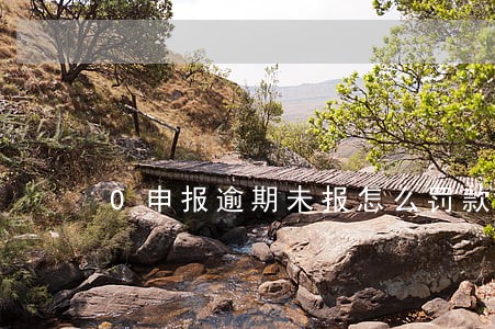 0申报逾期未报怎么罚款 0申报逾期未报怎么罚款