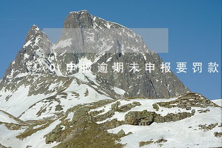 0申报逾期未申报要罚款吗 0申报逾期未申报要罚款吗