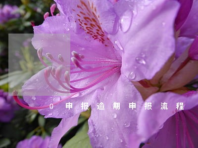 0申报逾期申报流程 0申报逾期申报流程