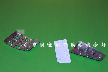 0申报逾期申报滞纳金封顶 0申报逾期申报滞纳金封顶