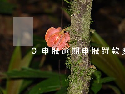0申报逾期申报罚款多少钱 0申报逾期申报罚款多少钱