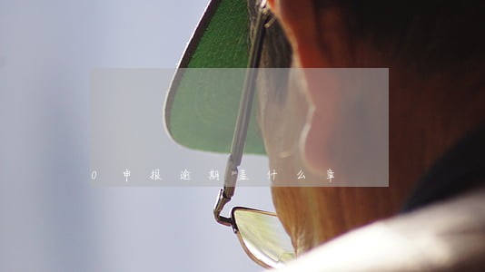 0申报逾期盖什么章 0申报逾期盖什么章