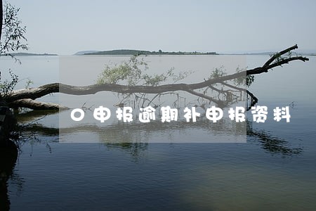 0申报逾期补申报资料 0申报逾期补申报资料