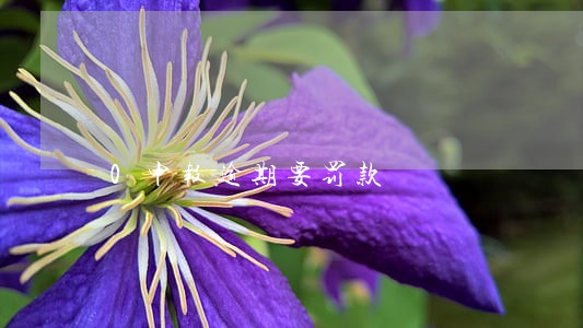 0申报逾期要罚款 0申报逾期要罚款